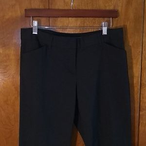 Express Dress Pants